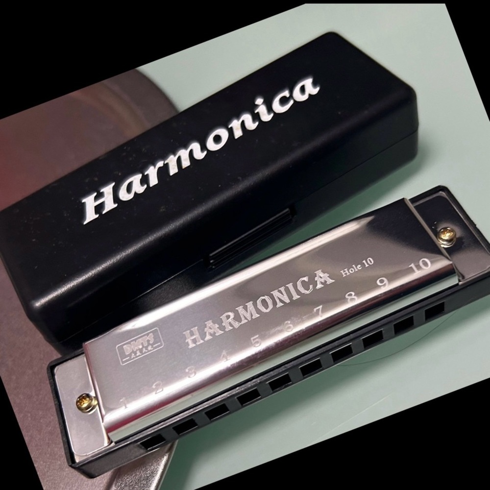 10 Hole Harmonica Mouth Organ Puzzle Musical Instrument